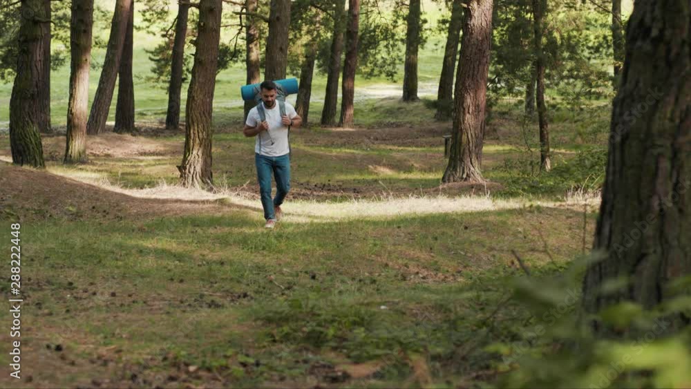 Young man with beard and backpack in forest walking uses phone look around smile happy gps application orientation tourist travel hike lost sun communication telephone slow motion Young man with beard and backpack in forest walking uses phone look around smile happy gps application orientation tourist travel hike lost sun communication telephone slow motion