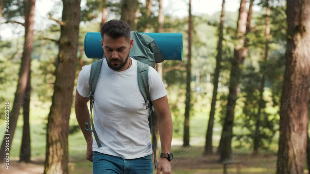Close up happy man with beard and backpack in forest walking uses phone look around smile happy gps application orientation tourist travel hike lost sun communication telephone slow motion Close up happy man with beard and backpack in forest walking uses phone look around smile happy gps application orientation tourist travel hike lost sun communication telephone slow motion