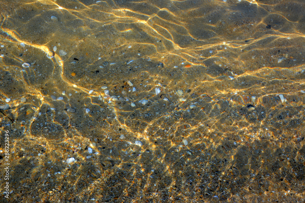 sandy bottom with shells underwater, beautiful natural background. sandy bottom with shells underwater, beautiful natural background.
