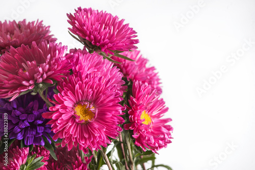 bouquet of chrysanthemums on a white background
