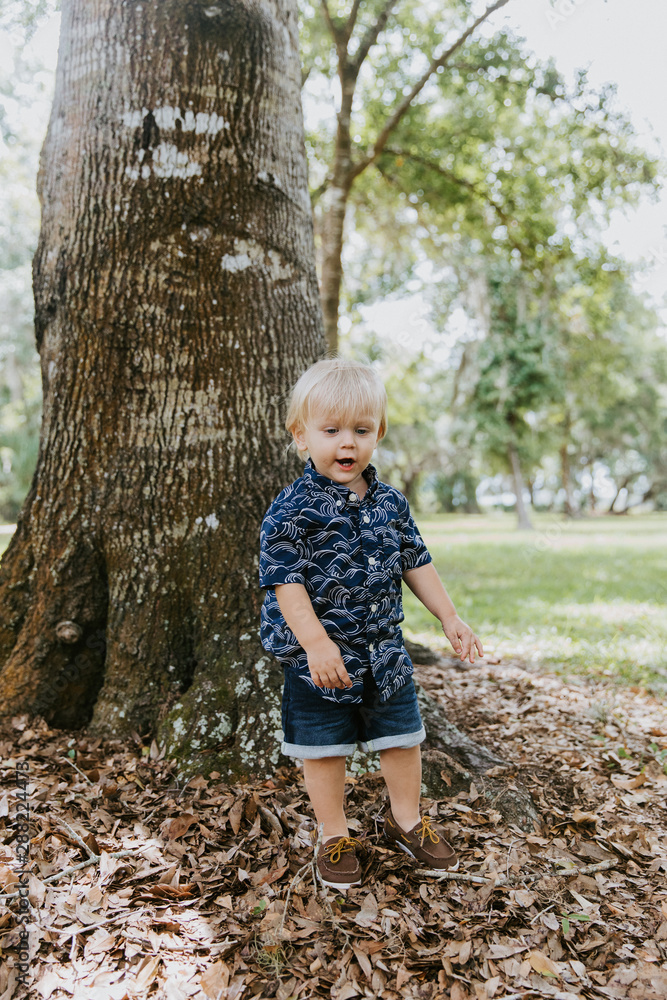 Precious Little Toddler Boy Dressed Up in the Outdoors Forest Park for Portraits in Autumn by Big Natural Tree Having Excited Fun Outside in Nature Precious Little Toddler Boy Dressed Up in the Outdoors Forest Park for Portraits in Autumn by Big Natural Tree Having Excited Fun Outside in Nature