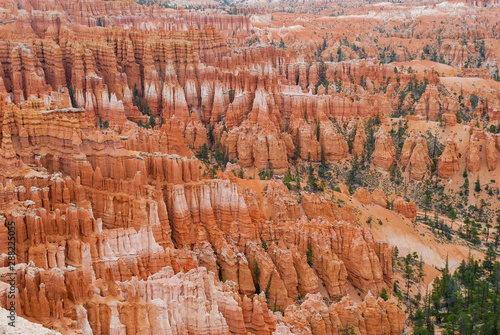 View of Bryce Canyon Hoodoos from Bryce Point in Bryce Canyon National Park in Utah.