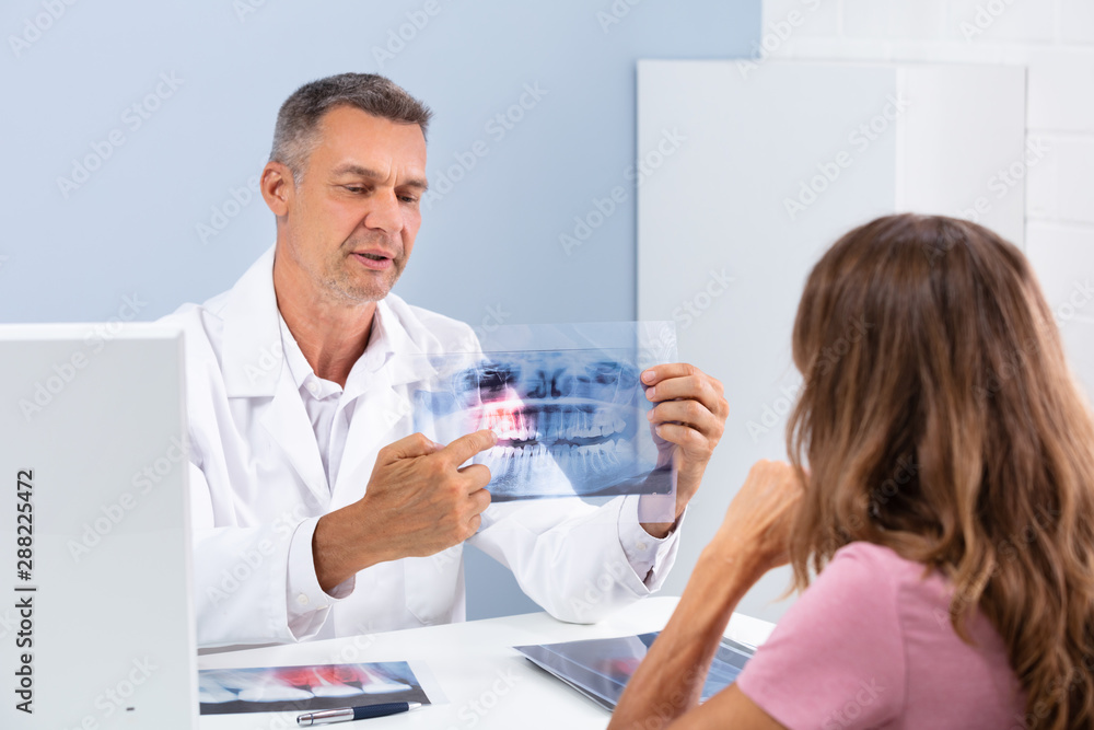 Fototapeta premium Doctor Showing Dental X-ray In Clinic