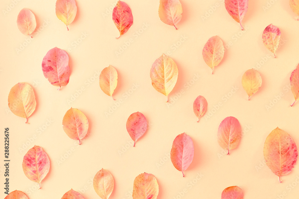 Flat lay pattern with colorful autumn leaves on a color background Flat lay pattern with colorful autumn leaves on a color background