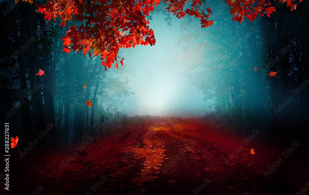 Fantasy background . Magic forest.Beautiful autumn landscape. - obrazy, fototapety, plakaty 