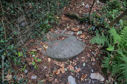 A half buried millstone in an abandoned mill