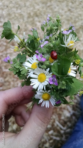 wildflower boquet