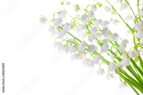 Fototapeta Naklejka Na Ścianę i Meble -  White flowers lilies of the valley isolated on white background