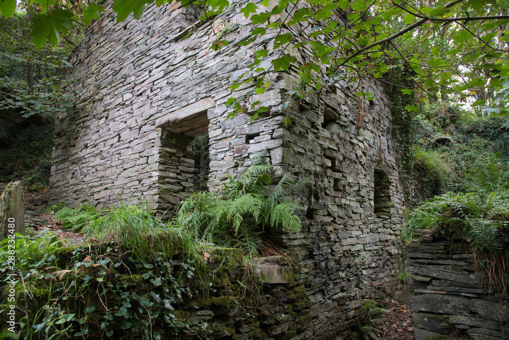 Wall of an old abandoned mill in Cornwall Wall of an old abandoned mill in Cornwall
