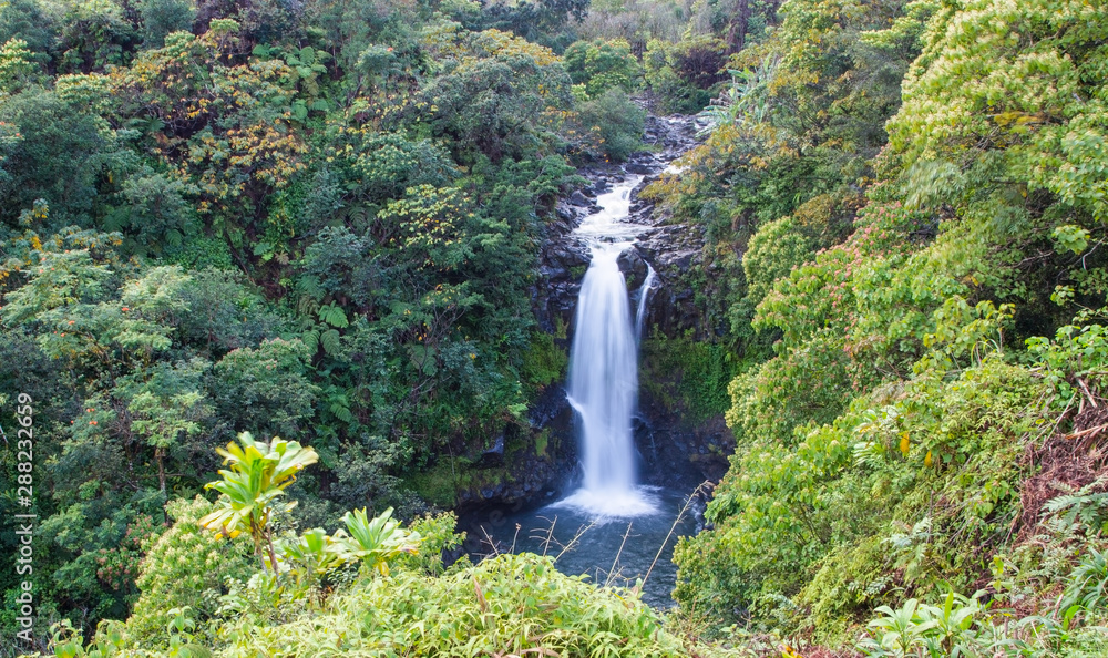 Hawaii Waterfall