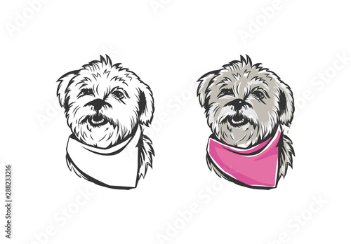 Hand drawn portrait lapdog. Dog, pet, animal sketch.