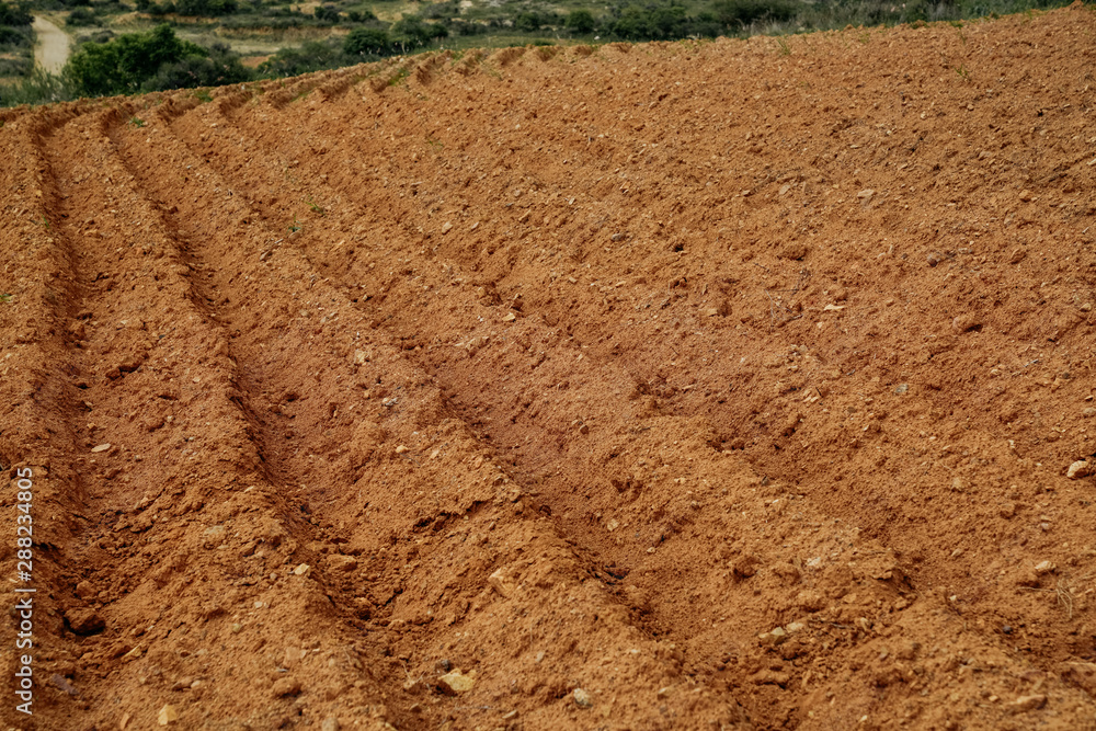Agricultural preparation of soil for planting at ploughed field Agricultural preparation of soil for planting at ploughed field