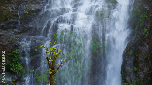 Phillipines. Mindoro. Puerto Galera. Beautiful Tamaraw falls. January 2018 photo