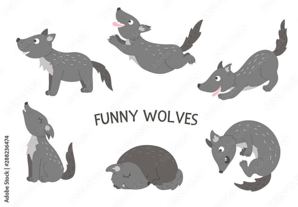 Vector set of cartoon style hand drawn flat funny wolves in different poses. Cute illustration of woodland animals for children’s design. .