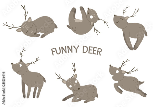 Vector set of cartoon style hand drawn flat funny deer in different poses. Cute illustration of woodland animals for children’s design. . © Lexi Claus