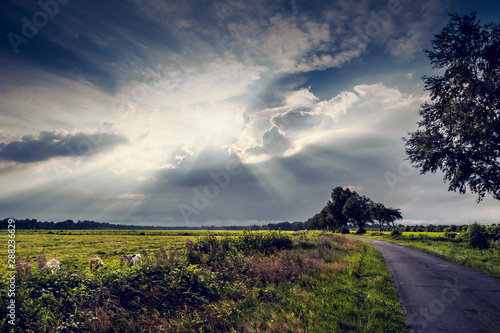 Herbst in der Marsch