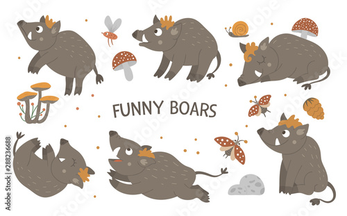 Vector set of cartoon style hand drawn flat funny boars in different poses. Cute illustration of woodland animals for children’s design. .