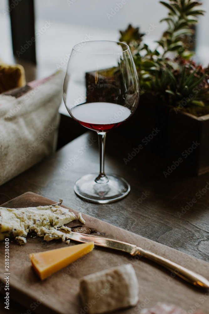 gourmet snack, cheese charcuterie board and red wine glass and succulents