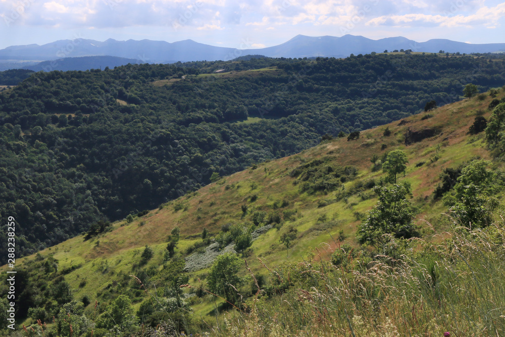 Fototapeta premium Paysage auvergnat