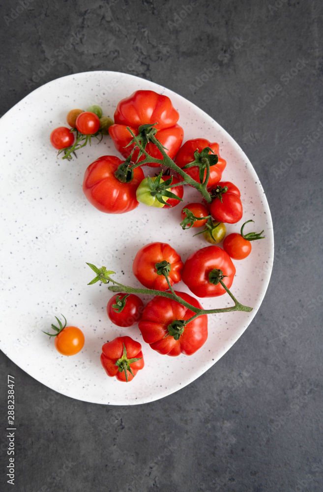 Freshly Harvested Various Tomatoes on Plate Freshly Harvested Various Tomatoes on Plate