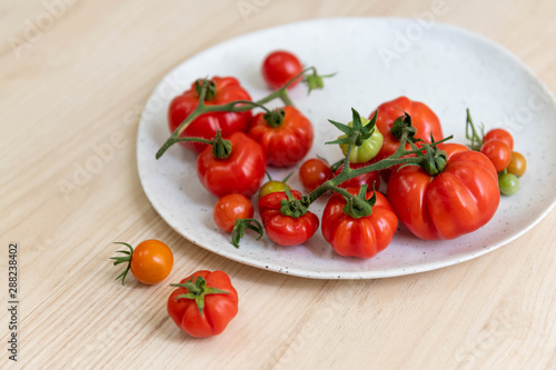 Freshly Harvested Various Tomatoes on Plate