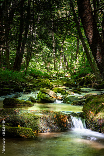 Beautiful Mountain Stream Flowing Through the Northern Pennsylvania Hemlock Forest
