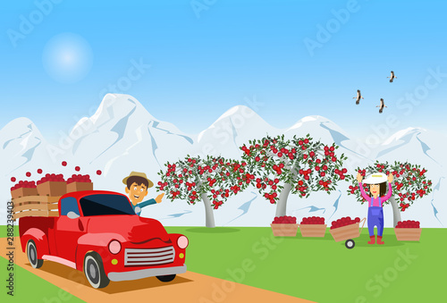 The farmer was driving an apple truck from the garden to sell his wife standing there. With white snow mountains in the background