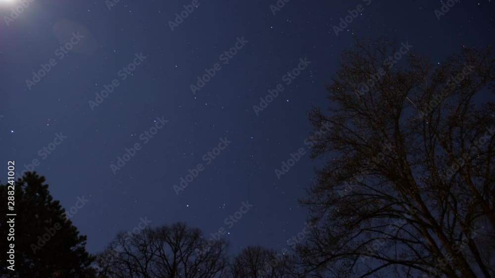 trees and stars tmelapse 4K trees and stars tmelapse 4K