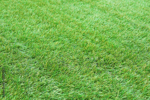 Green artificial grass. Beautiful lawn. Close-up. Top view. Background. Texture.