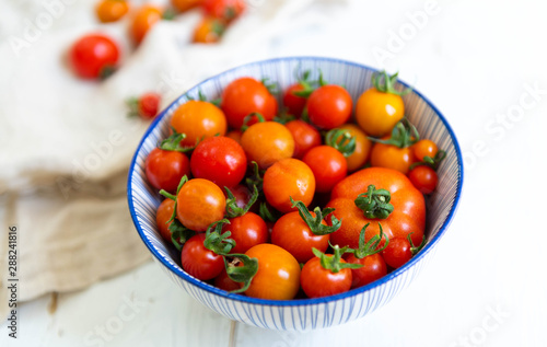 Freshly Picked Various Tomatoes in Blue Striped Bowl