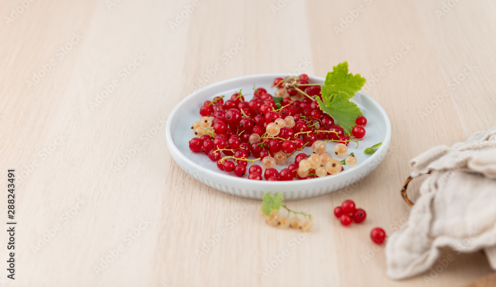 Freshly Picked Red and White Currants in Blue Bowl Freshly Picked Red and White Currants in Blue Bowl