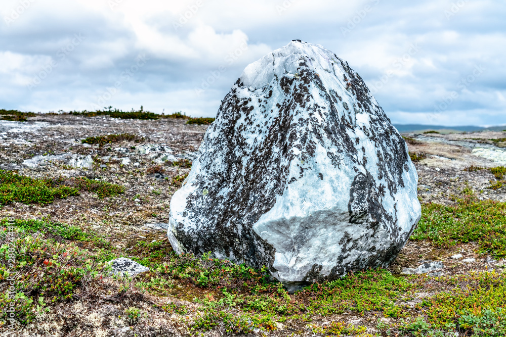Real White Rocks White Quartzite Rock