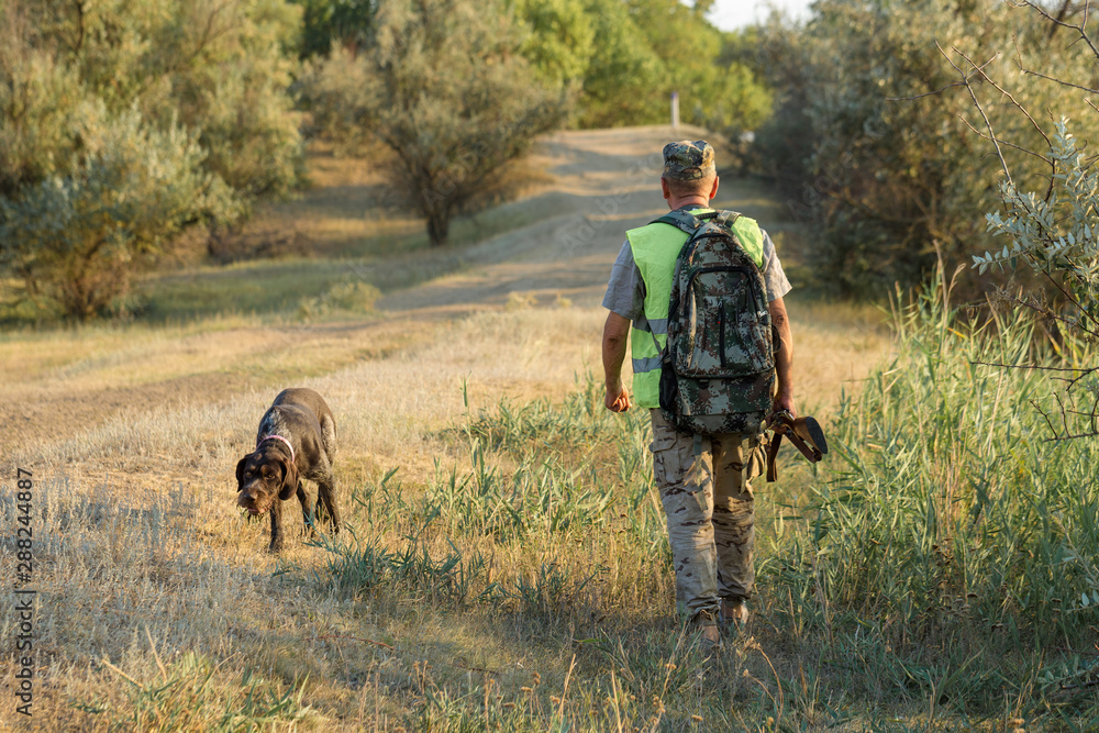 Hunting period, autumn season open. A hunter with a gun in his hands in hunting clothes in the autumn forest in search of a trophy. A man stands with weapons and hunting dogs tracking down the game. Hunting period, autumn season open. A hunter with a gun in his hands in hunting clothes in the autumn forest in search of a trophy. A man stands with weapons and hunting dogs tracking down the game.