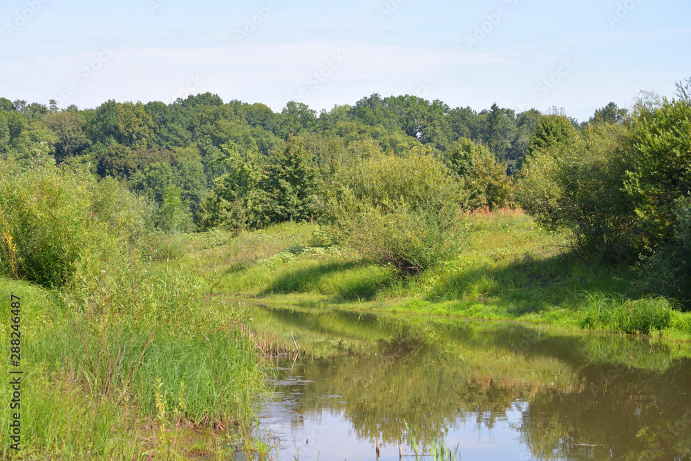 River at sunny day. River at sunny day.