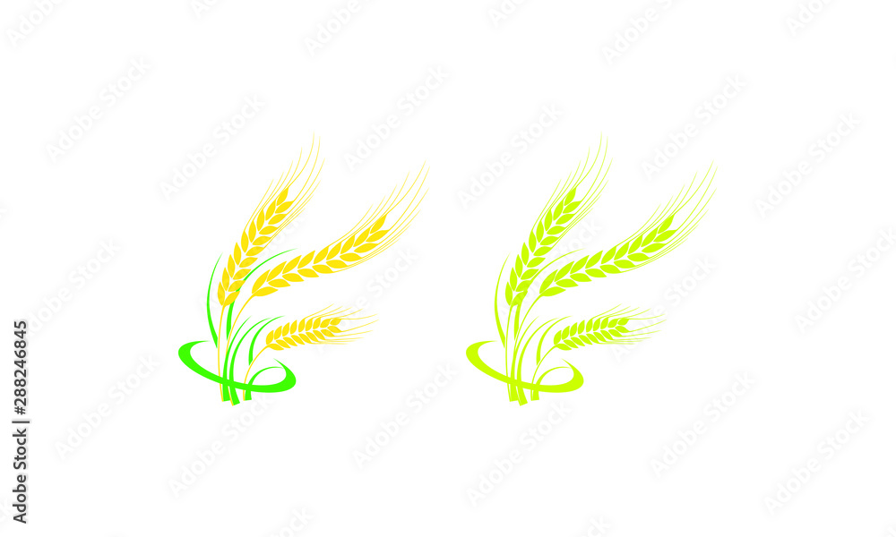 Agriculture wheat Logo Template vector icon design, Ears of Wheat, Barley or Rye vector visual graphic icons, Agriculture icon. Vector concept illustration for design. wheat multi-color icon. Elements Agriculture wheat Logo Template vector icon design, Ears of Wheat, Barley or Rye vector visual graphic icons, Agriculture icon. Vector concept illustration for design. wheat multi-color icon. Elements