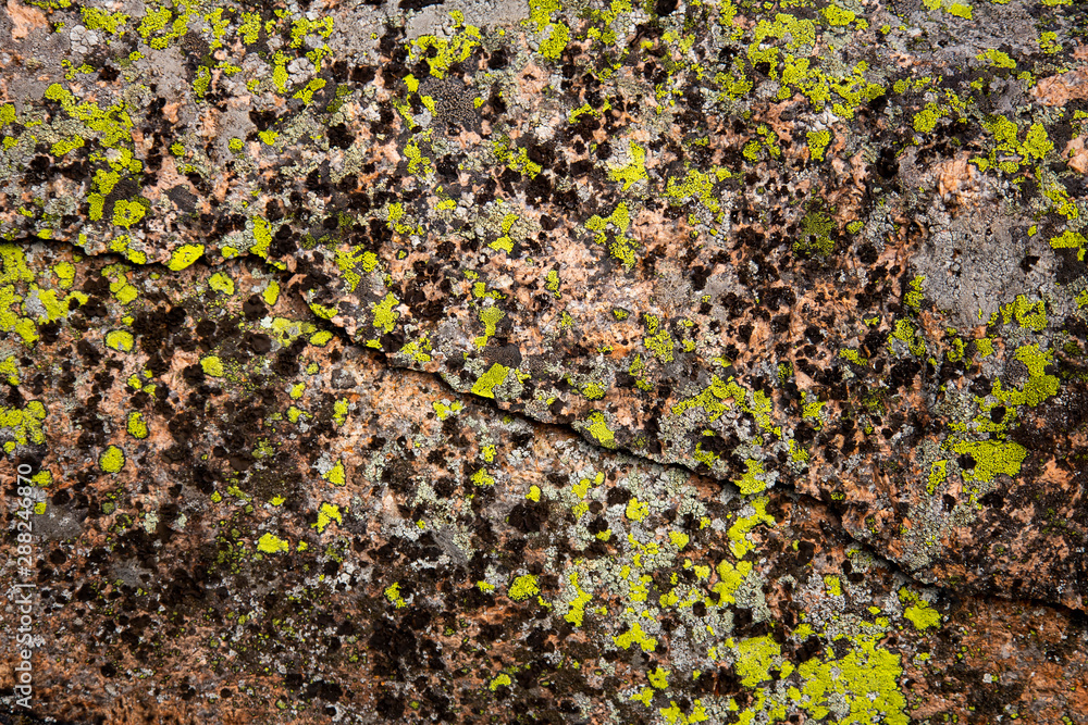 Old stone covered with moss Old stone covered with moss