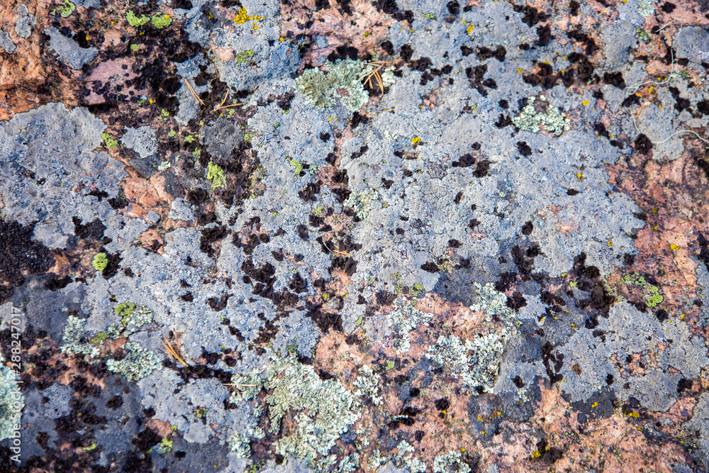 Old stone covered with moss Old stone covered with moss