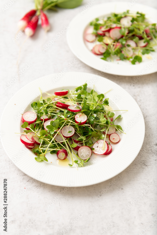Organic Radishes and Sprouts Salad on Plate