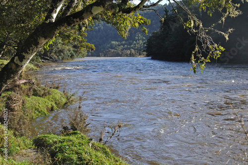 Fototapeta Naklejka Na Ścianę i Meble -  Grey river