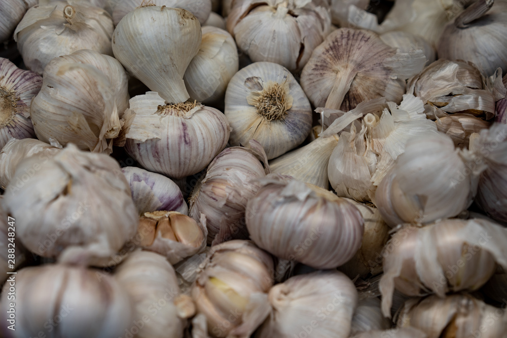 Dried garlic for sale as background and texture. Dried garlic for sale as background and texture.