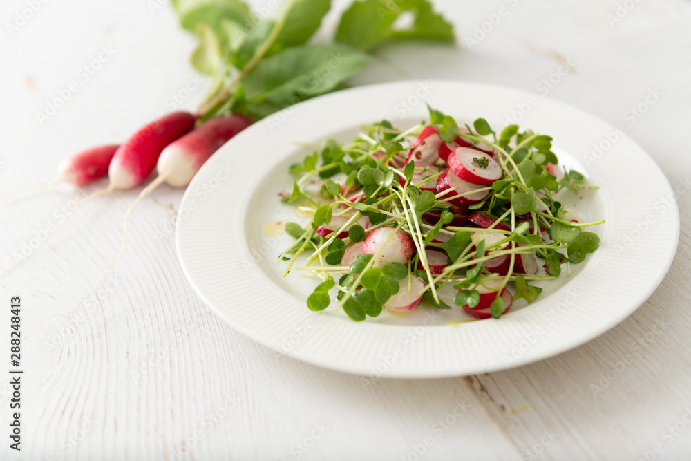 Organic Radishes and Sprouts Salad on Plate