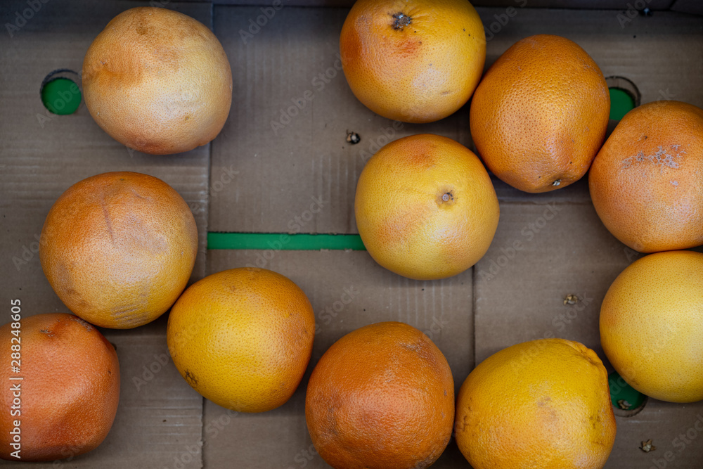 Bad oranges in a shop window sale Bad oranges in a shop window sale