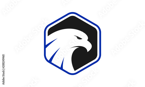 Modern hexagonal logo featuring a stylized white eagle head with blue accents
