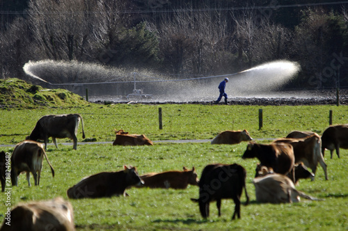 Billede på lærred checking the effluent sprayer