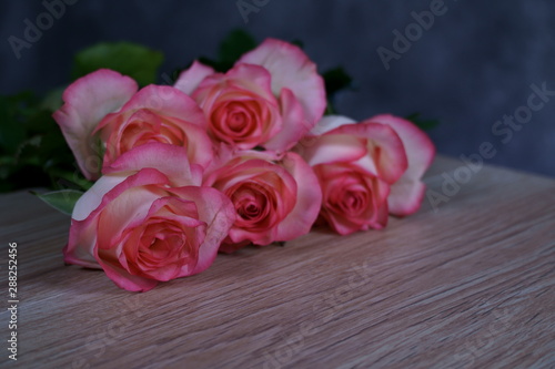 dolce vita rose on wood with gray background