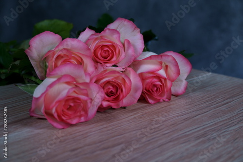 dolce vita rose on wood with gray background