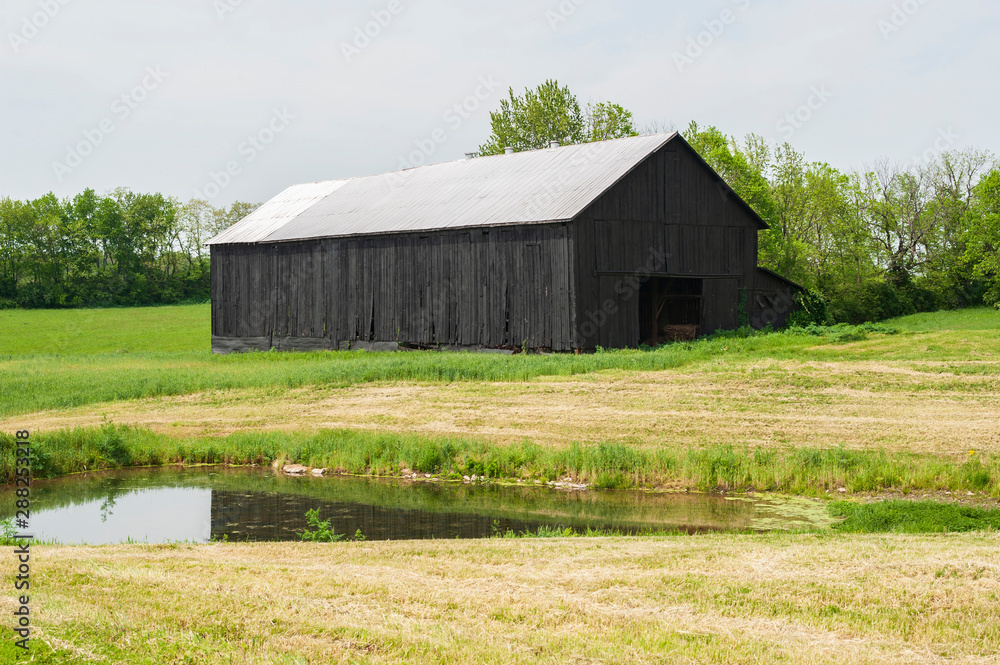 Barn Barn