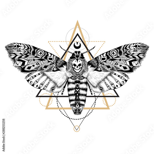 Textured moth in aztec style