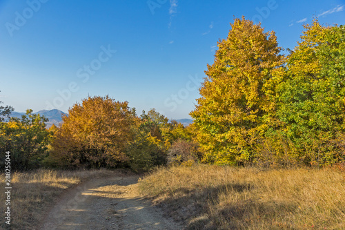 Fototapeta Naklejka Na Ścianę i Meble -  Autumn view of Cherna Gora (Monte Negro) mountain, Pernik Region, Bulgaria