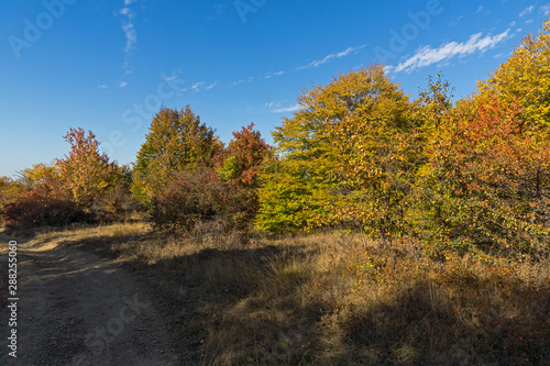 Autumn view of Cherna Gora (Monte Negro) mountain, Pernik Region, Bulgaria